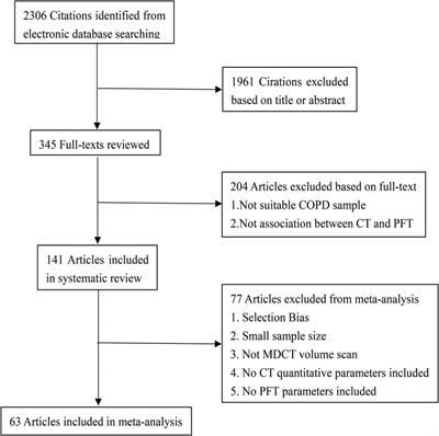 Quantitative CT parameters correlate with lung function in chronic obstructive pulmonary disease: A systematic review and meta-analysis